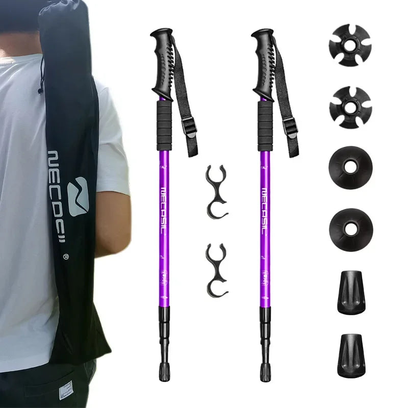 Adjustable 3-Section Nordic Trekking Poles